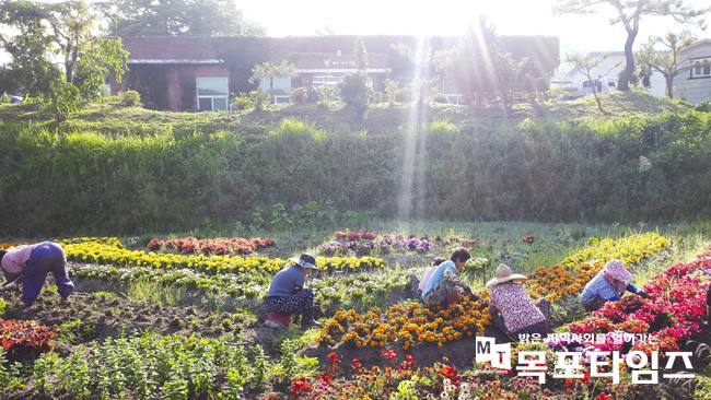 농촌체험휴양마을 순천 꽃마차마을.