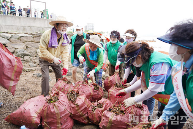 김종식 목포시장이 사회단체, 23개동 자생조직 회원 등과 해양쓰레기 수거 활동을 대대적으로 펼쳤다.