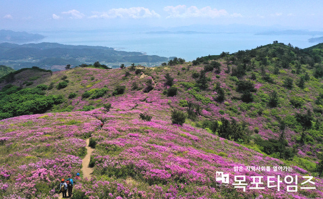 보성군, 5월 4일부터 6일까지 제20회 일림산 철쭉문화행사 개최.
