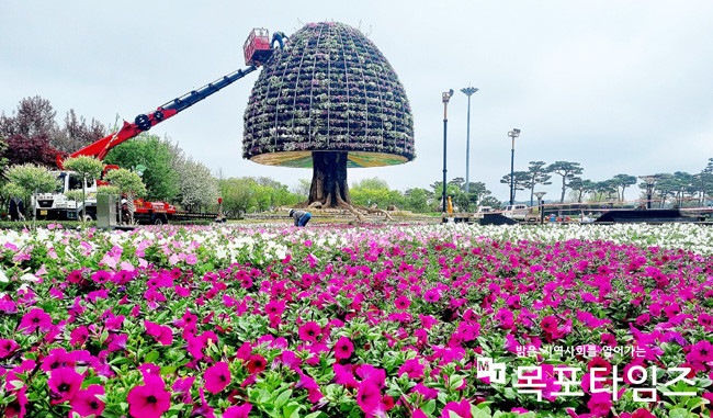 함평엑스포공원 꿈나무, 희망나무 조형물에 꽃탑을 쌓는 모습.